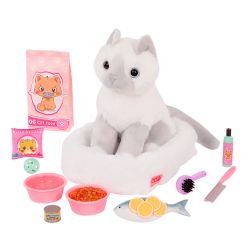 ACCESSOIRES OG - 